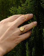 Anillo Huella Dorado