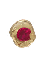 Topos Semilla Pequeño Dorado