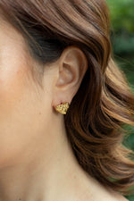 Topos Cuore Dorado